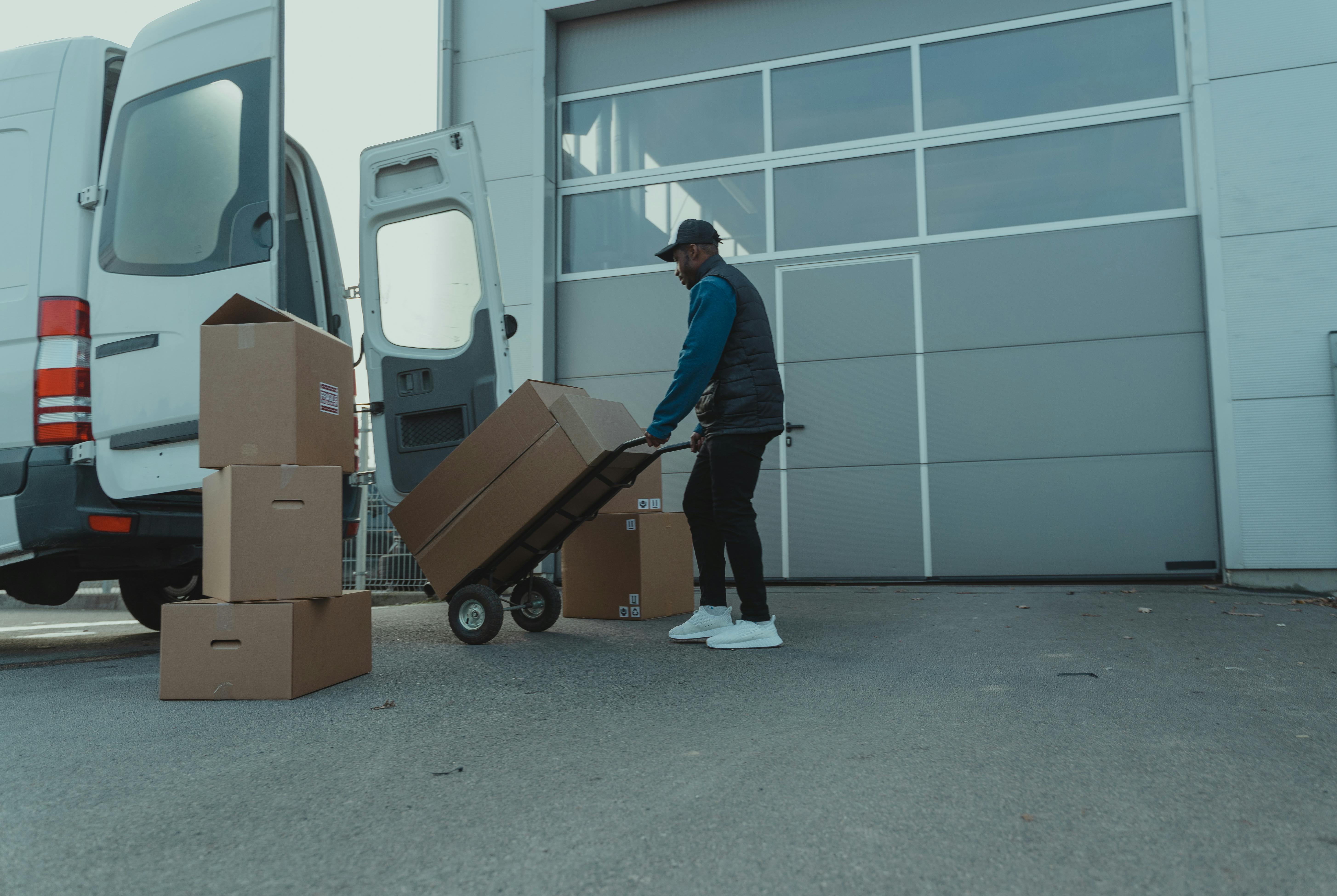 Import & Export Management